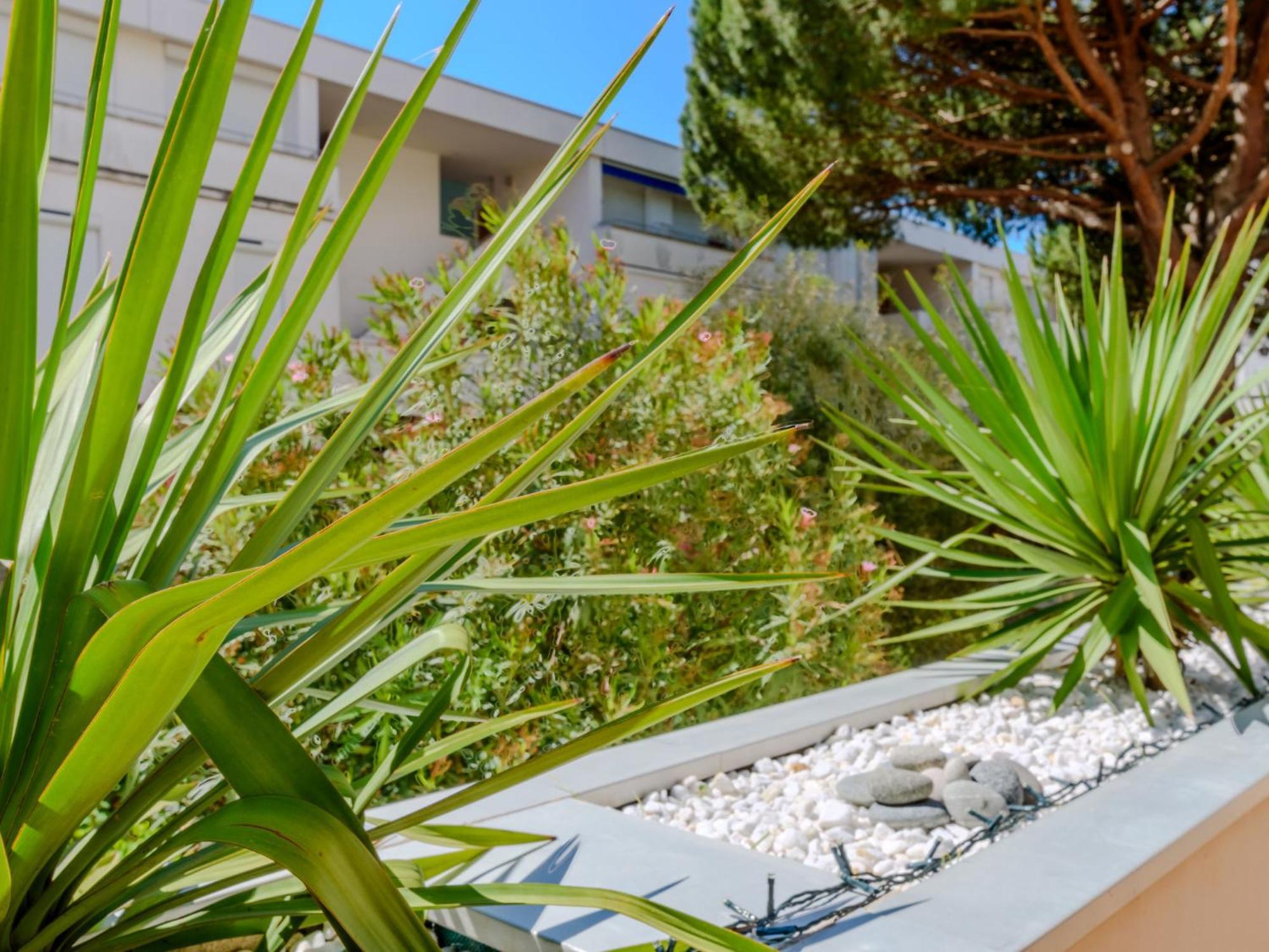 Apartment Antinea-4 By Interhome La Grande Motte Exterior foto