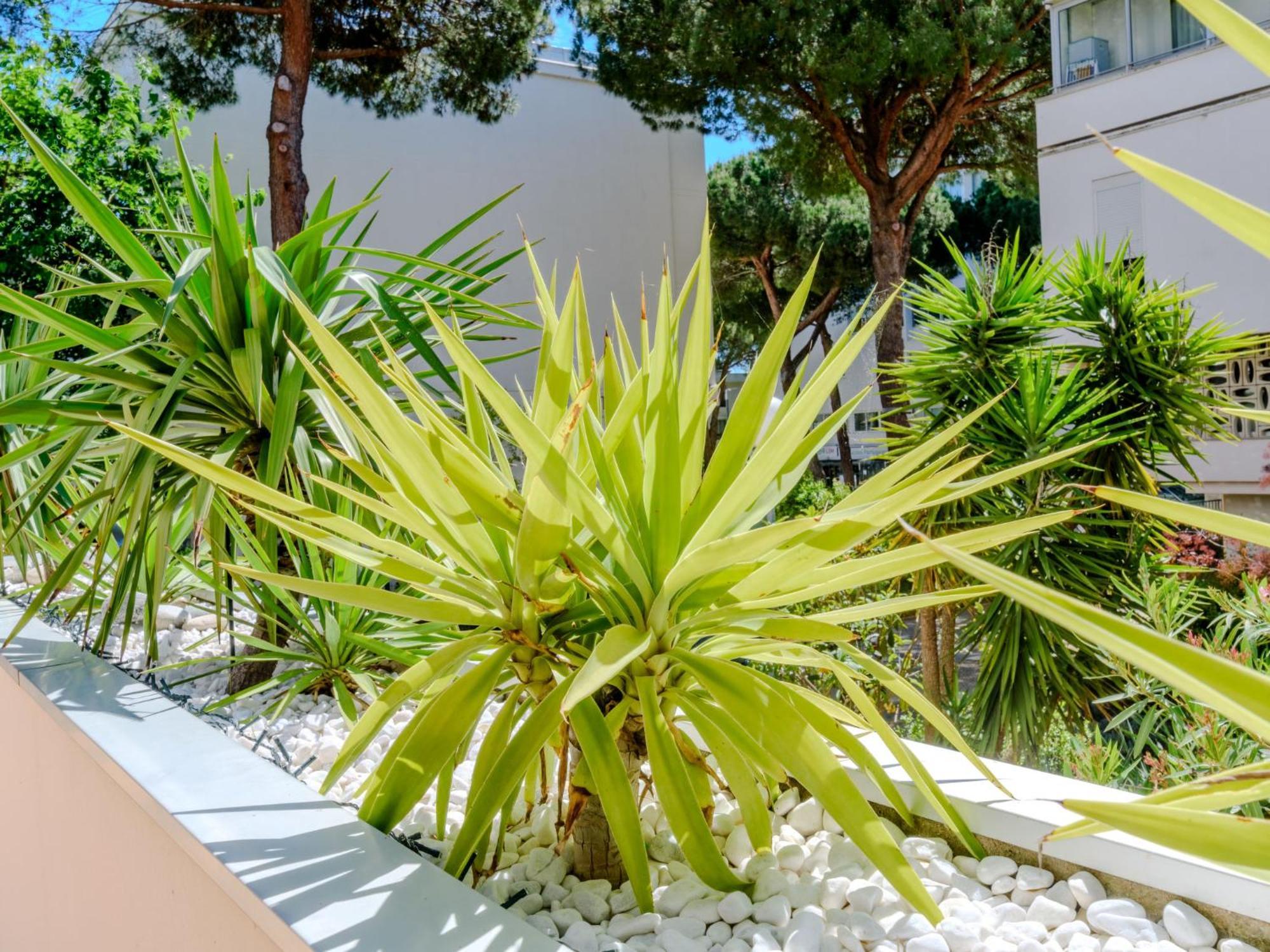 Apartment Antinea-4 By Interhome La Grande Motte Exterior foto